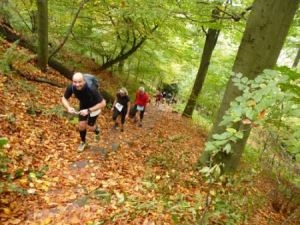 Trail Marathon Heidelberg 2013