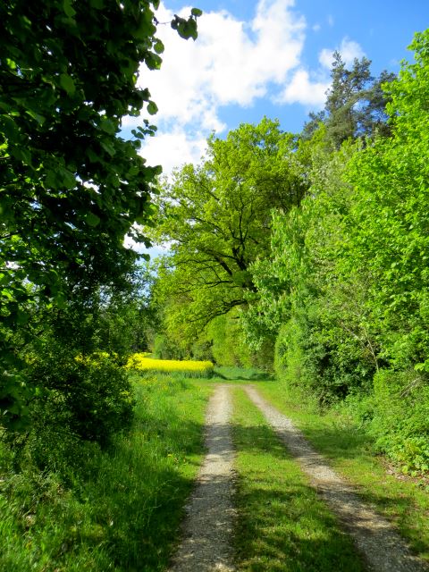 Mittelfrnkischen Orientierungsultralauf vom 03.05 - 04.05.2014