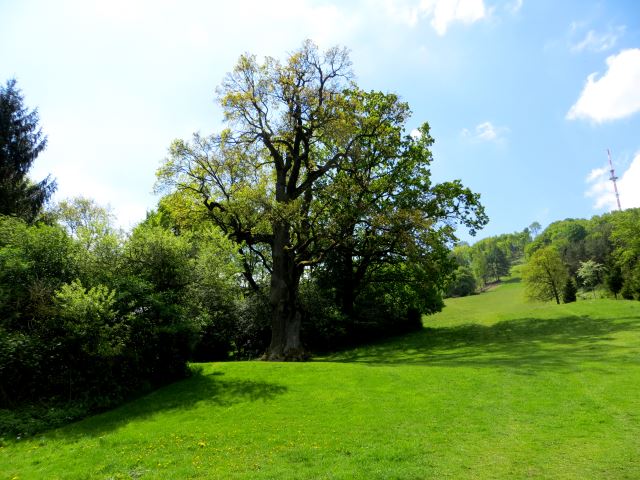 Mittelfrnkischen Orientierungsultralauf vom 03.05 - 04.05.2014