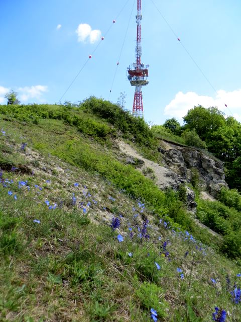 Mittelfrnkischen Orientierungsultralauf vom 03.05 - 04.05.2014