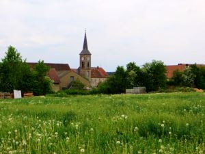 Mittelfrnkischer Orientierungsultralauf vom 03.05 - 04.05.2014