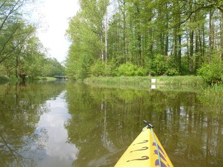 Spreewald Marathon 2014