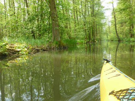 Spreewald Marathon 2014