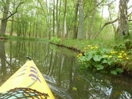 Spreewald Marathon 2014