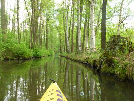 Spreewald Marathon 2014