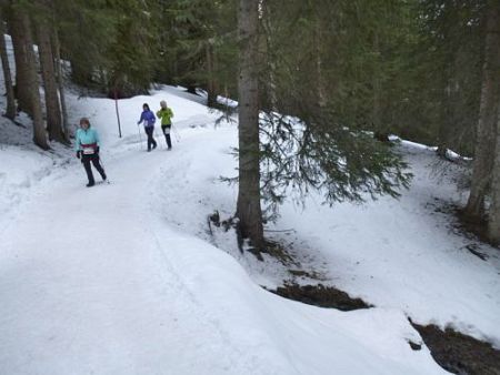 Swiss Snow Walk & Run Arosa 2014