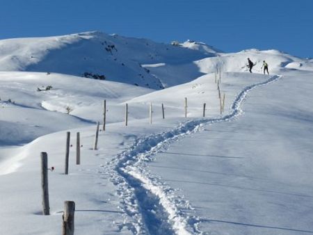 Swiss Snow Walk & Run Arosa 2014