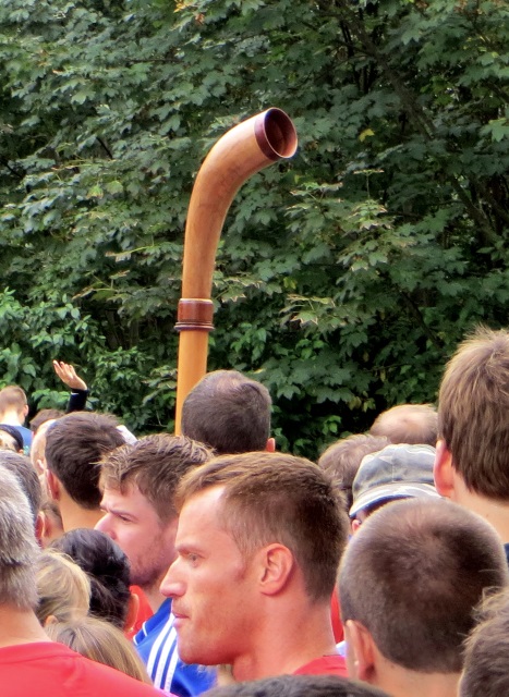 Tegernseelauf 2014