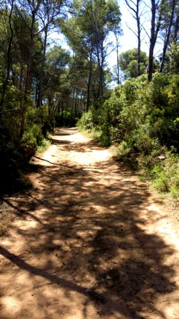 Trail Menorca Cami de Cavalls 2014