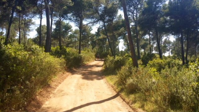 Trail Menorca Cami de Cavalls 2014