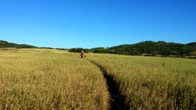 Trail Menorca Cami de Cavalls 2014