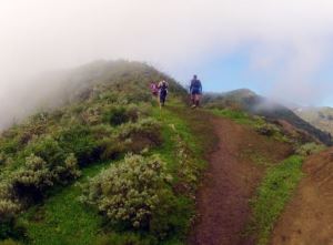 Trans Gran Canaria vom 01. - 02.03.2014