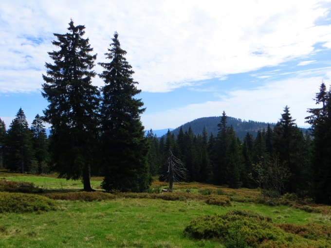 Joggingtour am 18.09.2014 im Bayerischen Wald von Bodenmais zum Arber