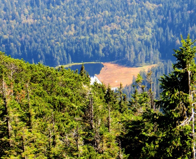 Joggingtour am 18.09.2014 im Bayerischen Wald von Bodenmais zum Arber