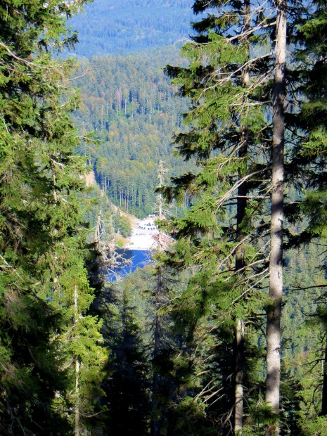 Joggingtour am 18.09.2014 im Bayerischen Wald von Bodenmais zum Arber