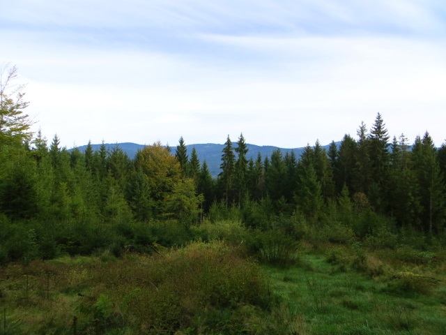 Joggingtour am 18.09.2014 im Bayerischen Wald von Unterried ber Mais nach Frath