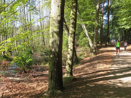 Usedom Marathon