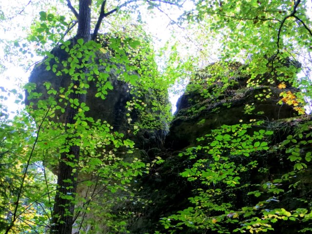 Joggingtour bei Allersdorf, Trgweis und Kirchenbirgik am 10.10.2015