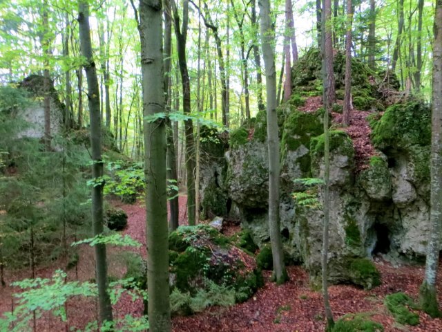 Joggingtour bei Allersdorf, Trgweis und Kirchenbirgik am 10.10.2015