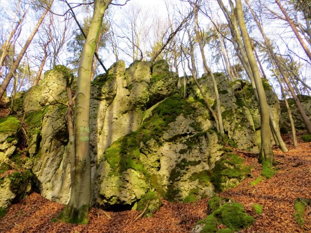 Joggingtour bei den Felsen zwischen Kleingesee und Allersdorf am 27.12.2015