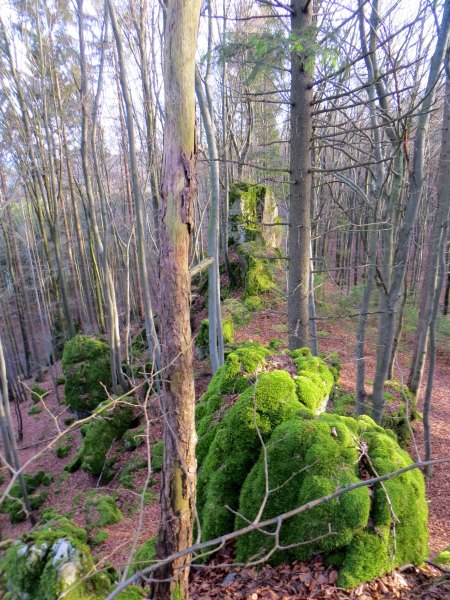 Joggingtour bei den Felsen zwischen Kleingesee und Allersdorf am 27.12.2015