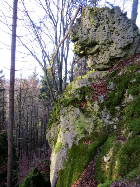 Joggingtour bei den Felsen zwischen Kleingesee und Allersdorf am 27.12.2015