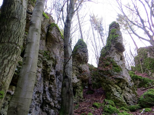 Joggingtour bei den Felsen zwischen Kleingesee und Allersdorf am 27.12.2015