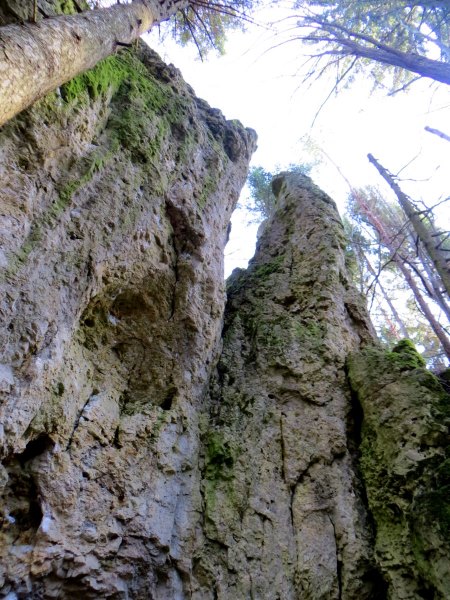 Joggingtour bei den Felsen zwischen Kleingesee und Allersdorf am 27.12.2015