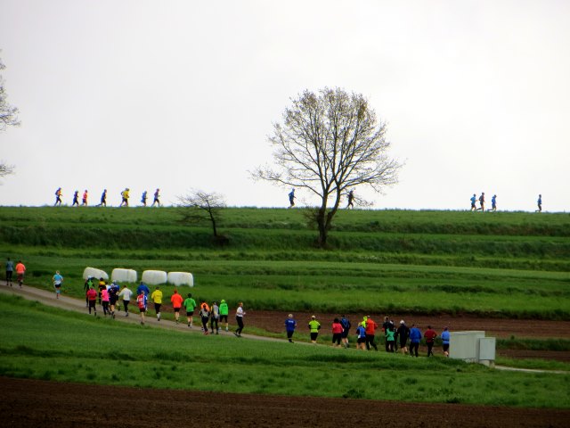 Altmhltrail 2015