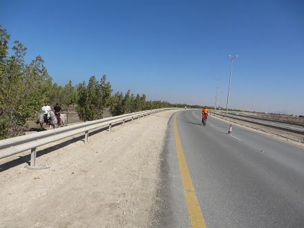 Bahrain Marathon 2015