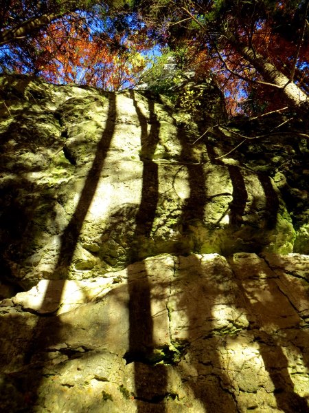 Joggingtour zwischen Behringersmhle, Brenschlucht und Gweinstein