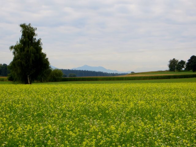 5. BOL - Vom tiefsten Punkt Oberbayerns zum hchsten Punkt Oberbayerns vom 08.09. - 13.09.2015