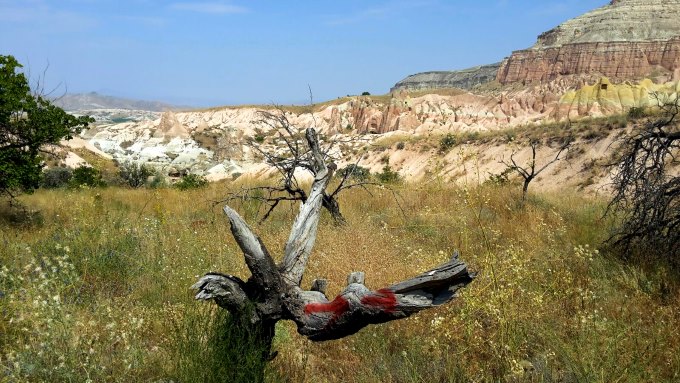 Runfire Cappadocia 2015