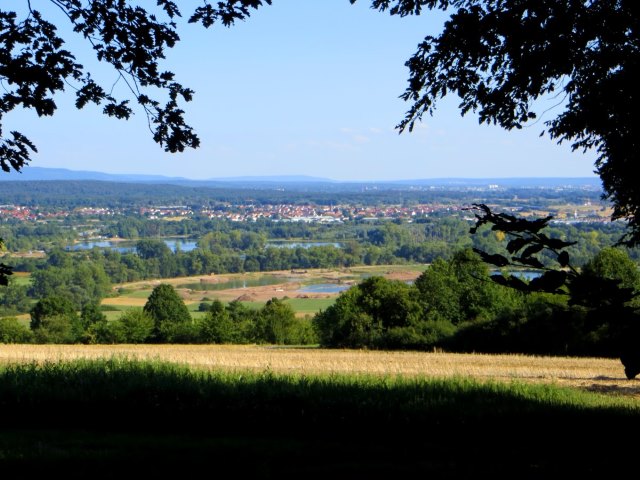 Joggingtour durch die Hassberge von Ebern nach Baunach am 05.08.2015