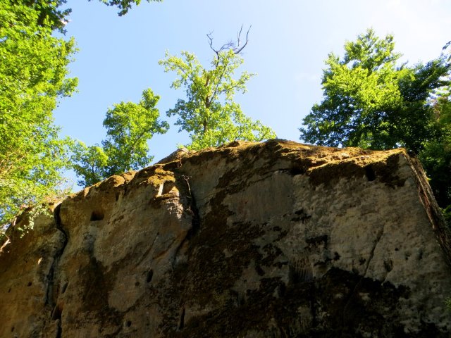 Joggingtour durch die Hassberge von Ebern nach Baunach am 05.08.2015