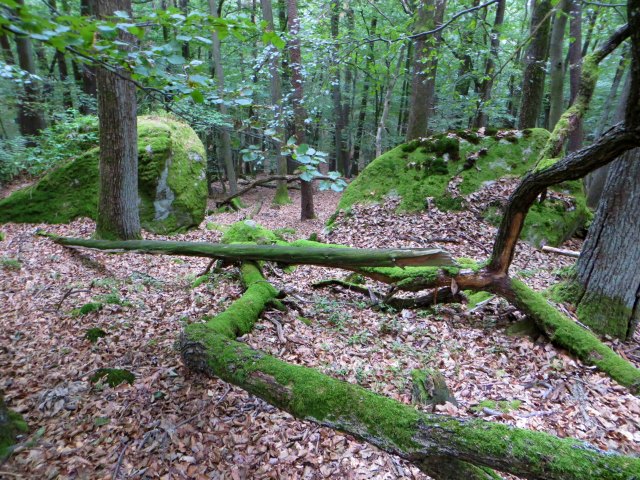 Joggingtour durch die Hassberge von Ebern nach Ebelsbach am 04.09.2015