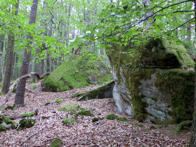 Joggingtour durch die Hassberge von Ebern nach Ebelsbach am 04.09.2015