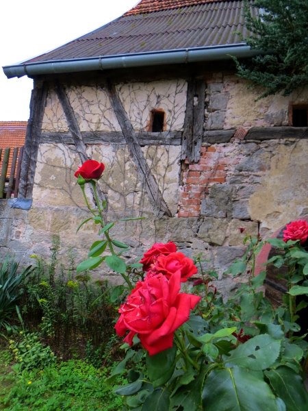 Joggingtour durch die Hassberge von Ebern nach Ebelsbach am 04.09.2015