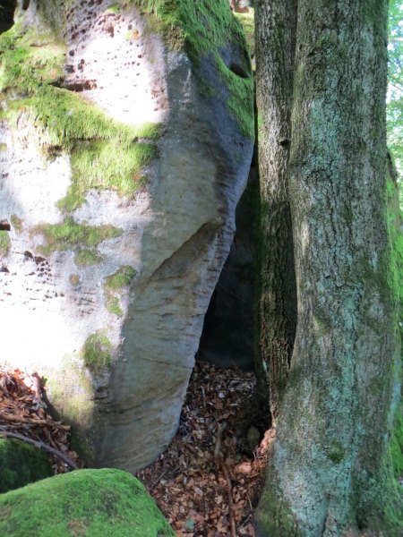 Joggingtour durch die Hassberge von Ebern nach Ebelsbach am 04.09.2015