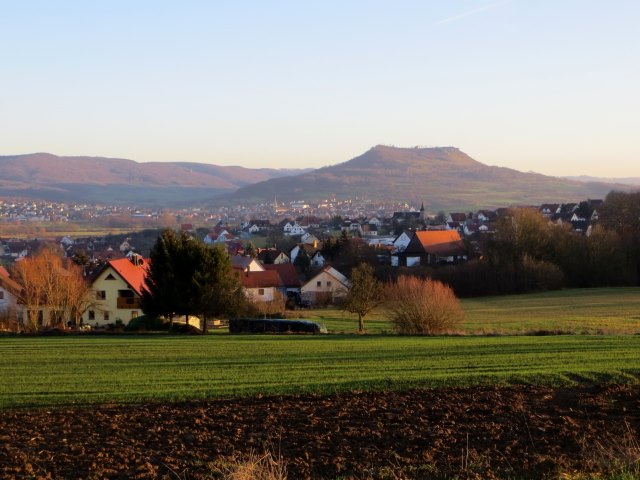 Geburtstagslauf in den Forchheimer Wldern