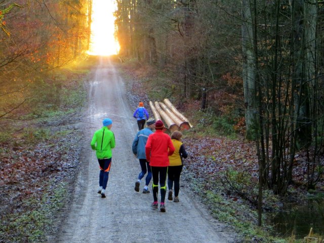 Geburtstagslauf in den Forchheimer Wldern