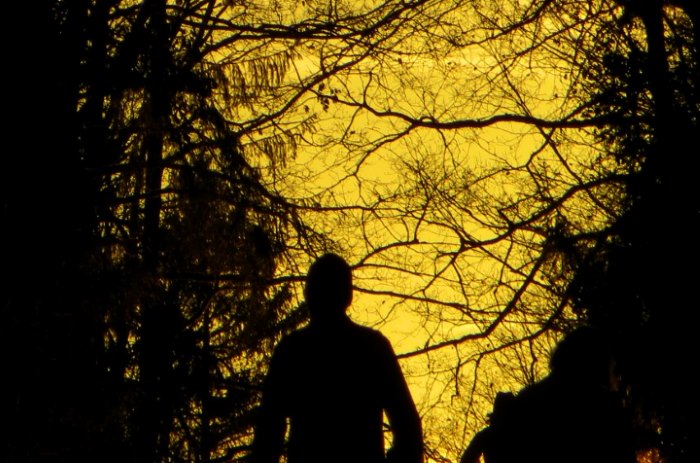 Geburtstagslauf in den Forchheimer Wldern