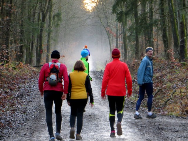 Geburtstagslauf in den Forchheimer Wldern