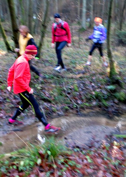 Geburtstagslauf in den Forchheimer Wldern