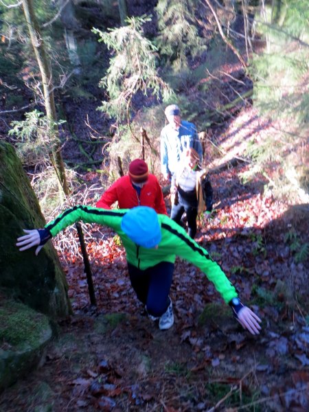 Geburtstagslauf in den Forchheimer Wldern