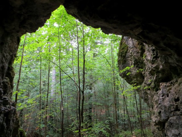 Joggingtour auf der Genusslaufmarathonstrecke in der Frnkischen Schweiz bei Gweinstein am 18.08.2015