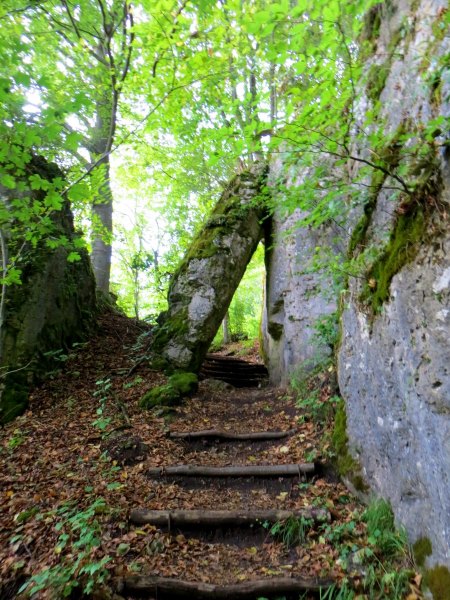 Joggingtour auf der Genusslaufmarathonstrecke in der Frnkischen Schweiz bei Gweinstein am 18.08.2015