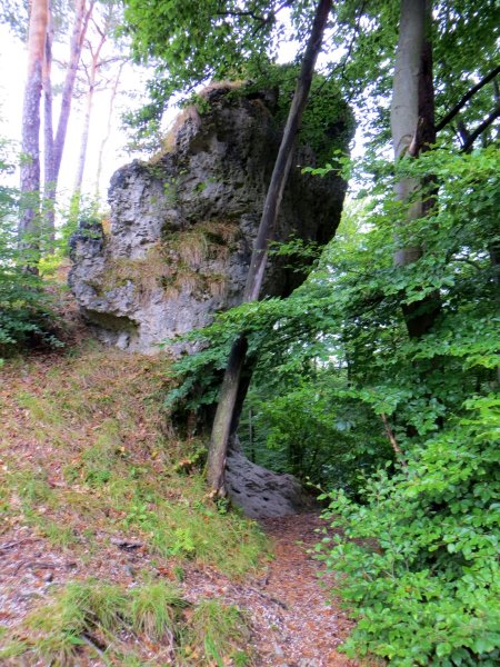 Joggingtour auf der Genusslaufmarathonstrecke in der Frnkischen Schweiz bei Gweinstein am 18.08.2015