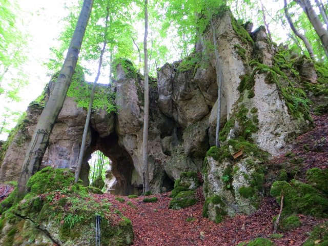 Joggingtour auf der Genusslaufmarathonstrecke in der Frnkischen Schweiz bei Gweinstein am 18.08.2015