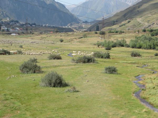 Kazbegi Marathon 2015